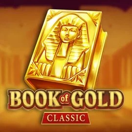 game logo by Playson on winnzoria.nl